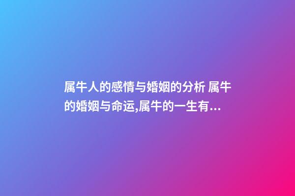 属牛人的感情与婚姻的分析 属牛的婚姻与命运,属牛的一生有几次婚姻-第1张-观点-玄机派
